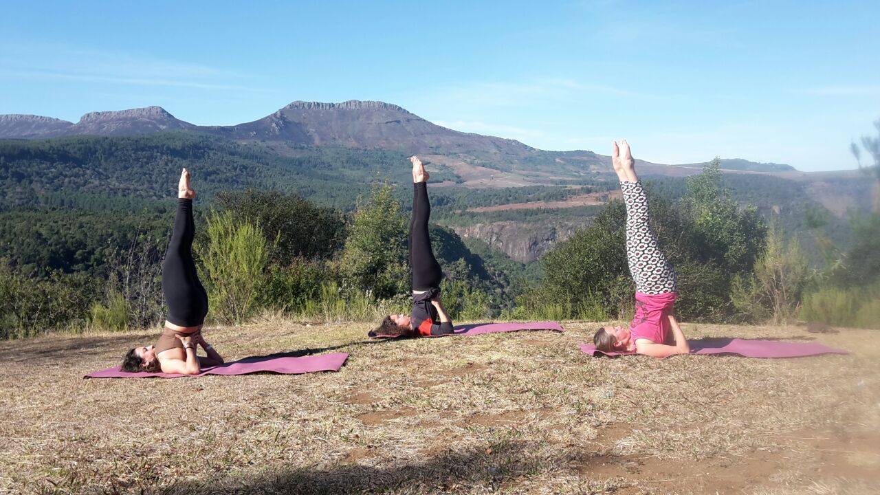 Movement classes in session